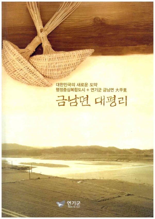 금남면 대평리 : 대한민국의 새로운도약 행정중심복합도시+ 연기군 금남면 大平里