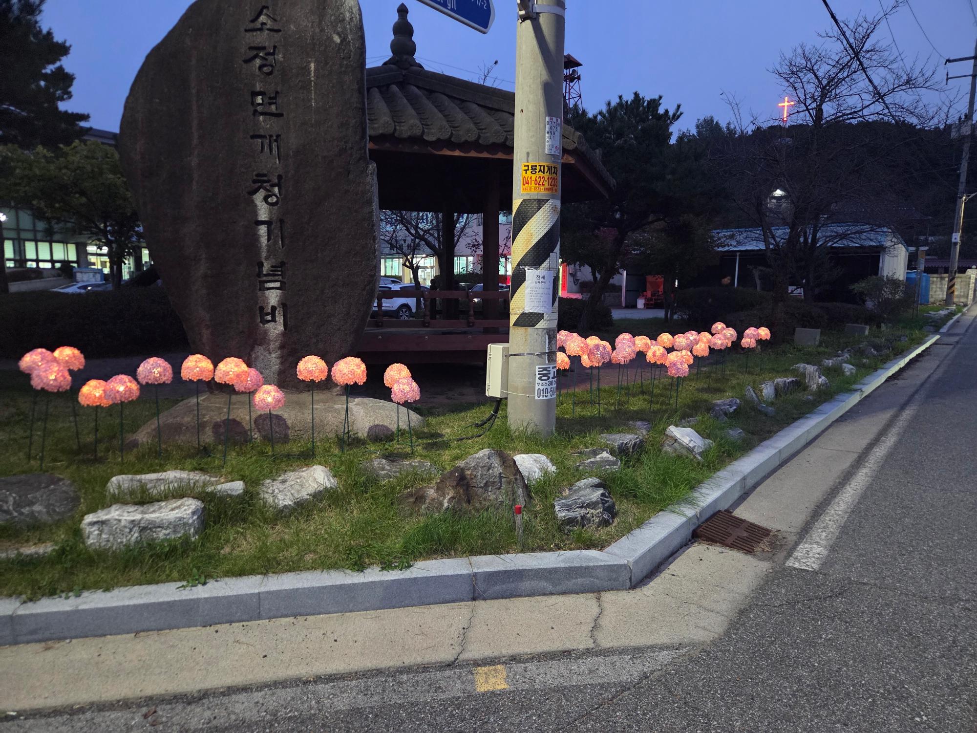 기록이미지316104