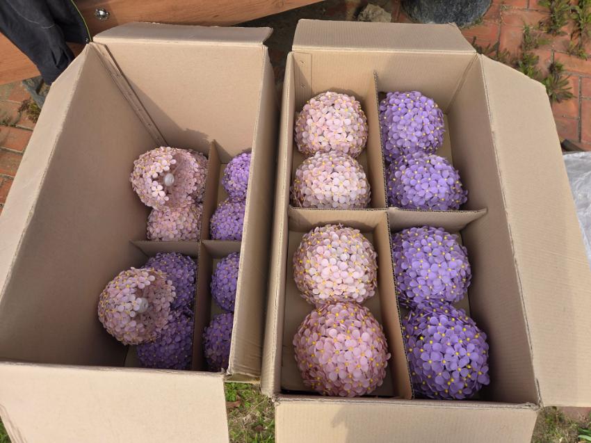 기록이미지316108
