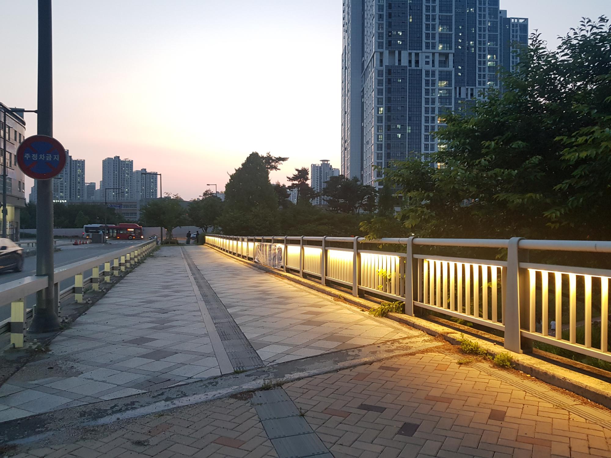 기록이미지316655