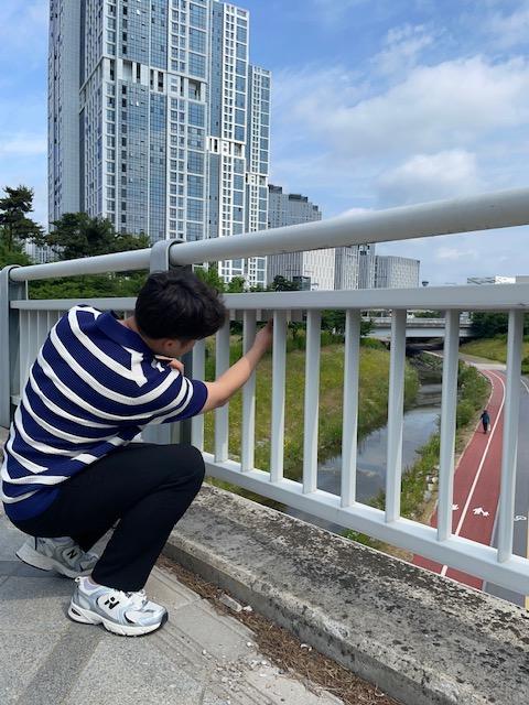 기록이미지316687