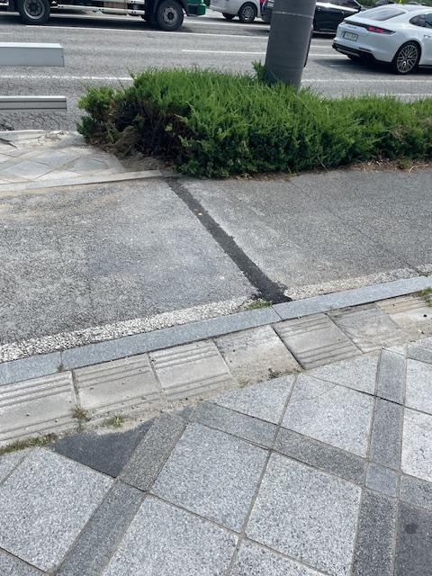 기록이미지316703