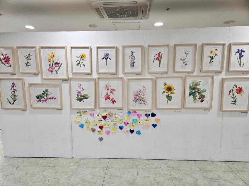 기록이미지317452