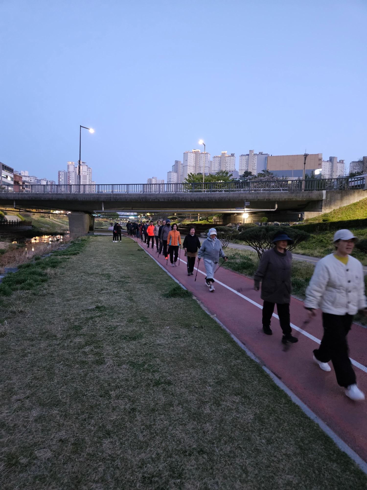 기록이미지317536