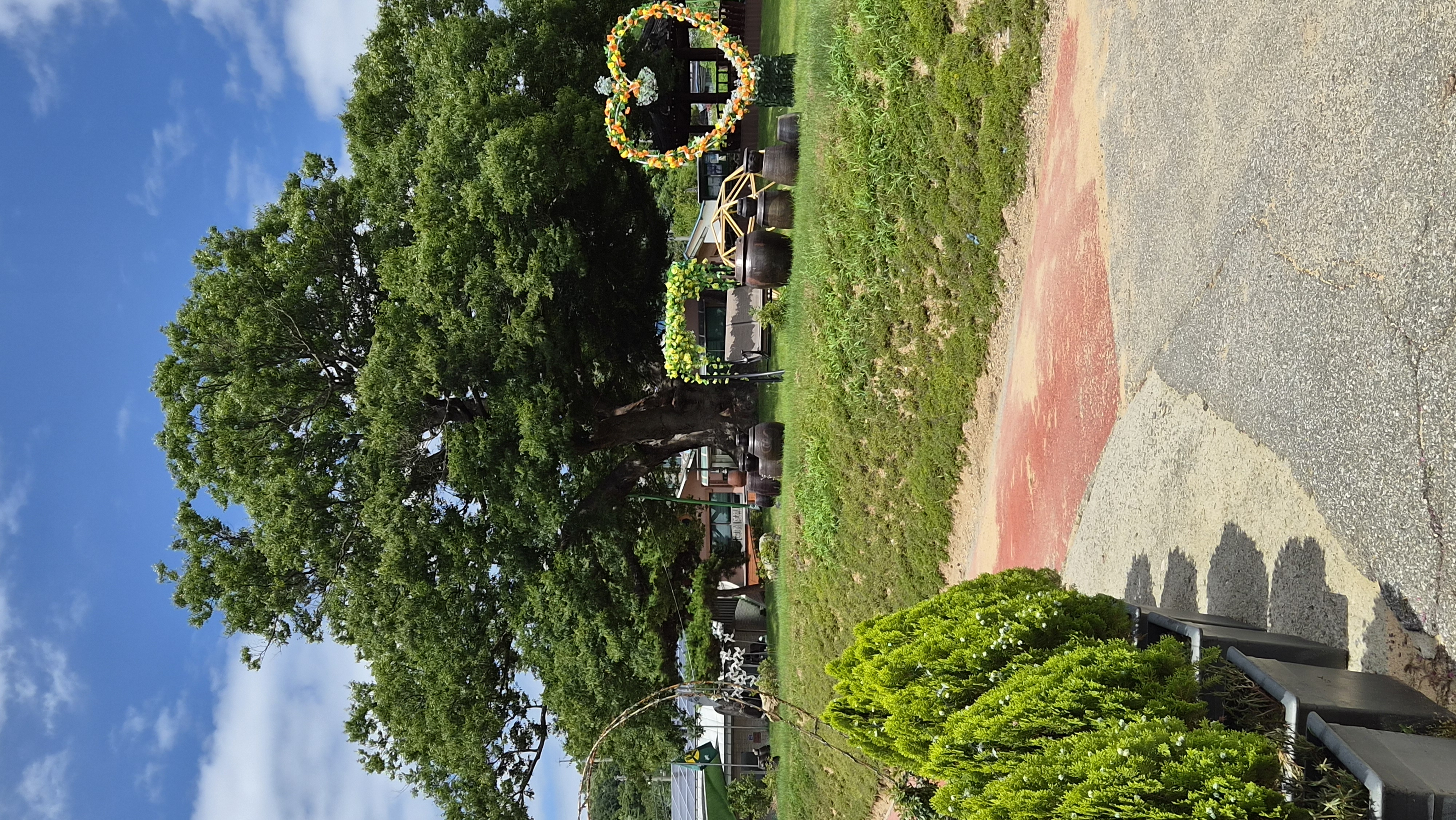20260713_133121.jpg