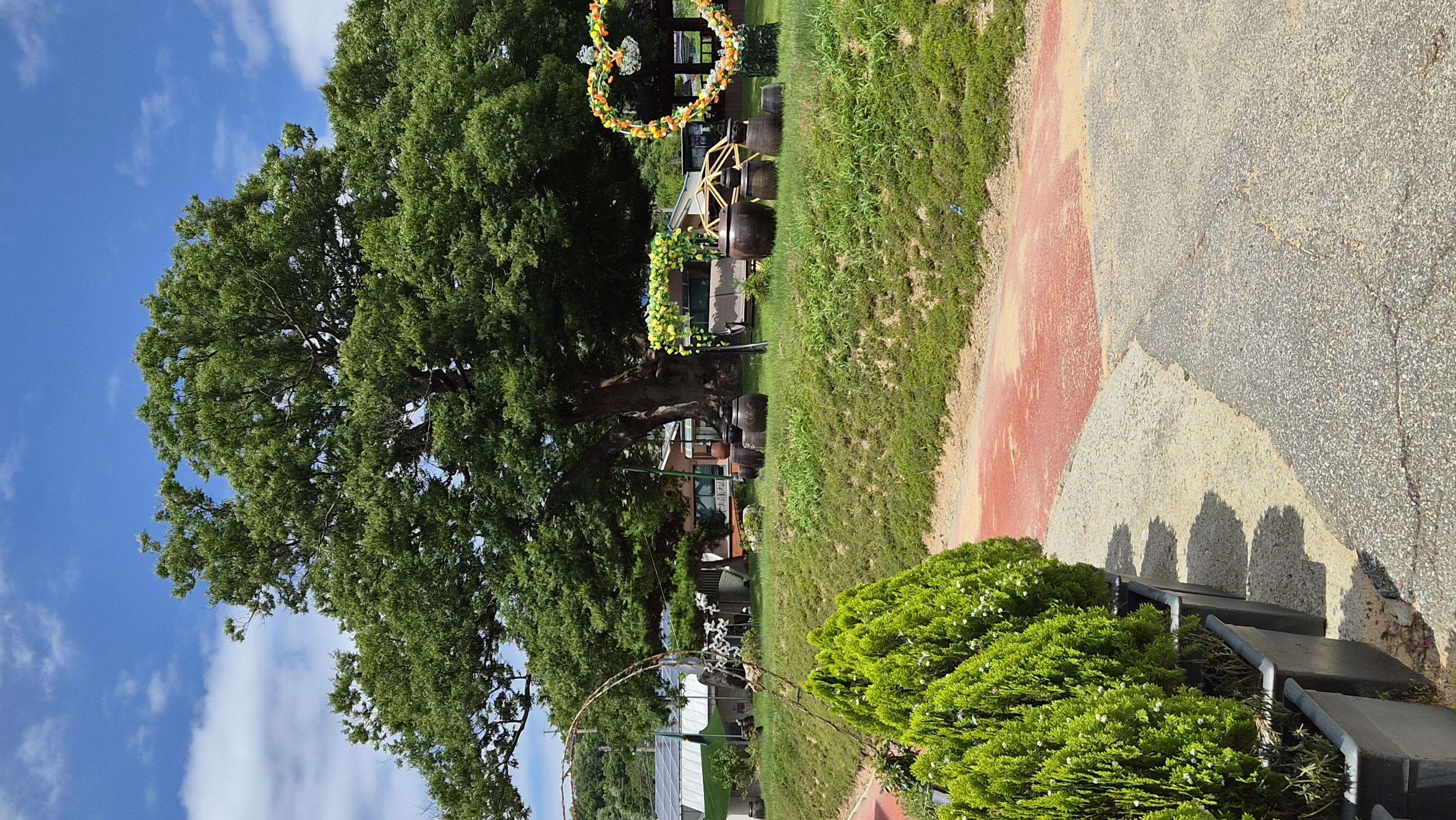 20260713_133126.jpg