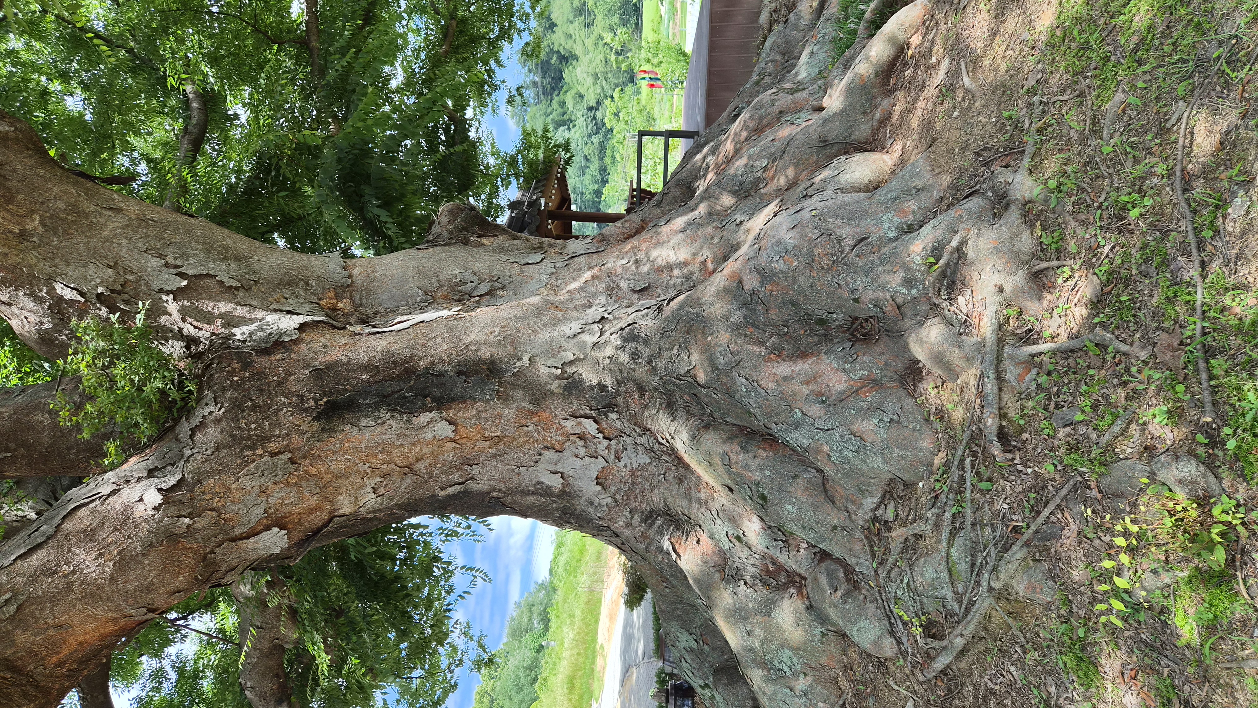 20260713_133345.jpg