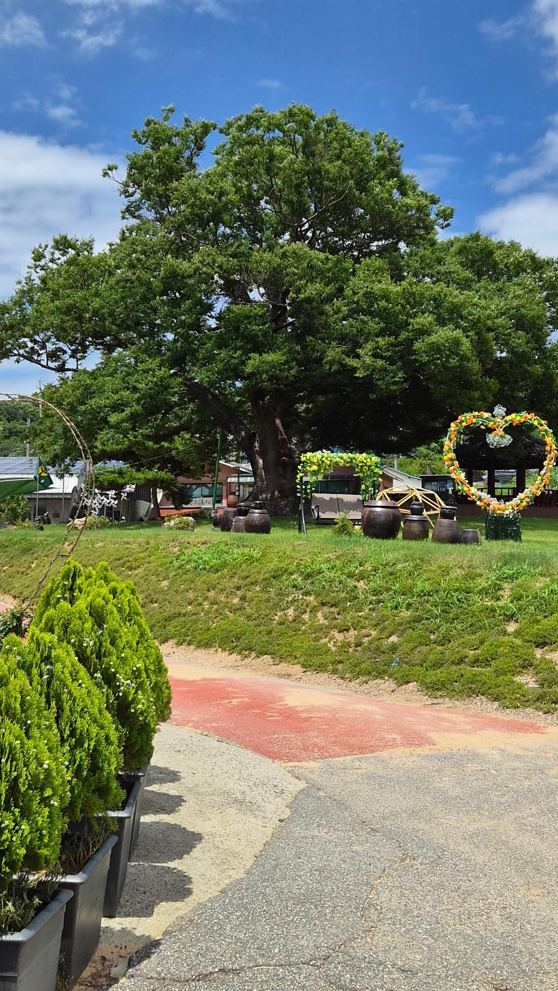 기록이미지338026