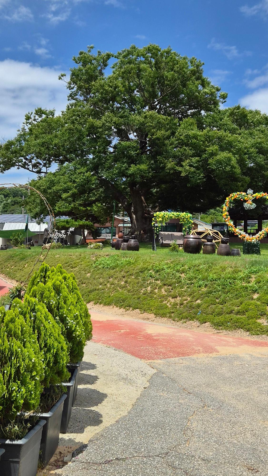 기록이미지338030