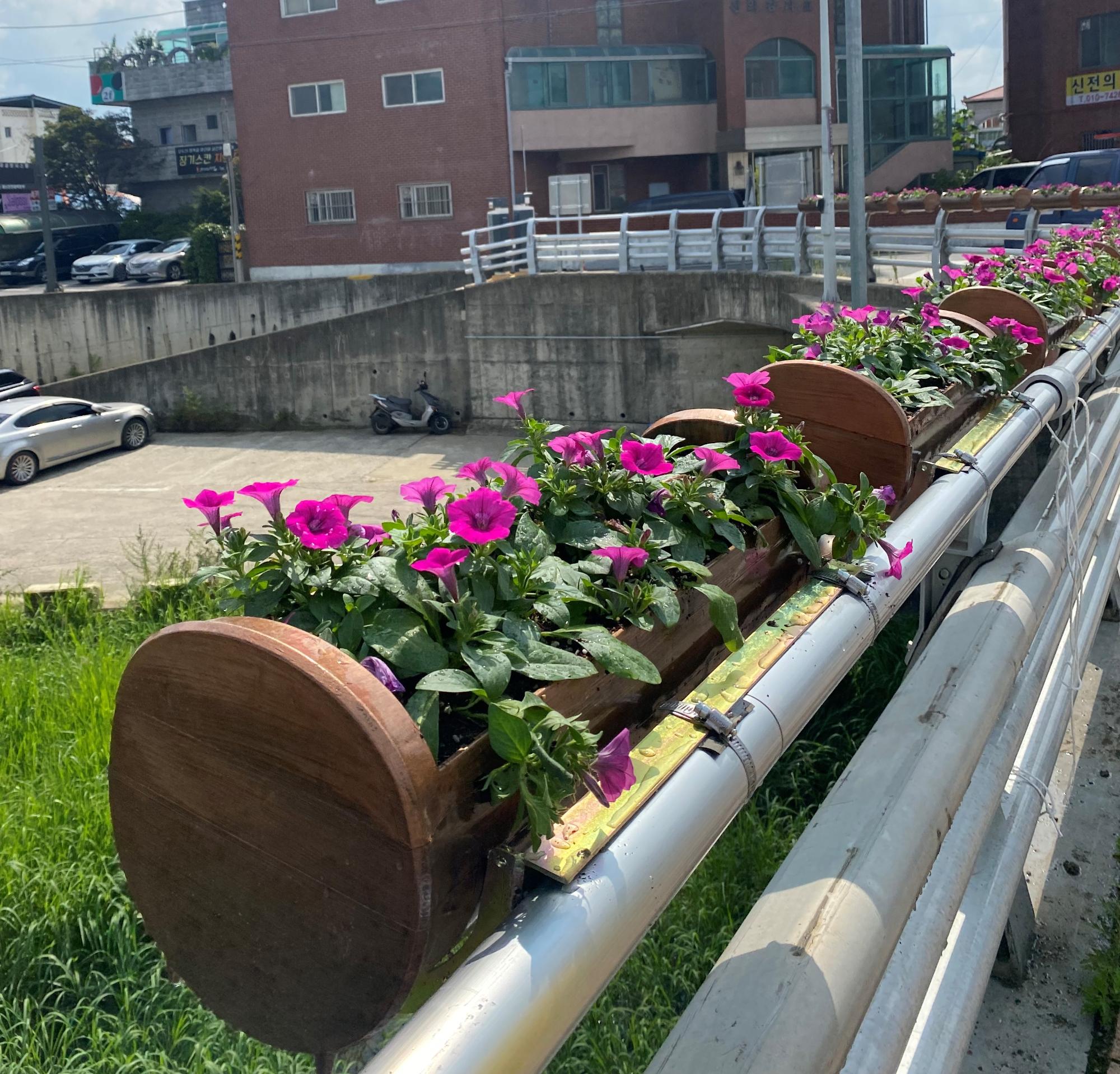 기록이미지338645