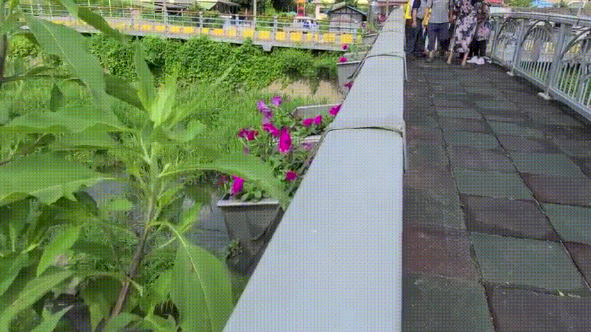 기록이미지338682