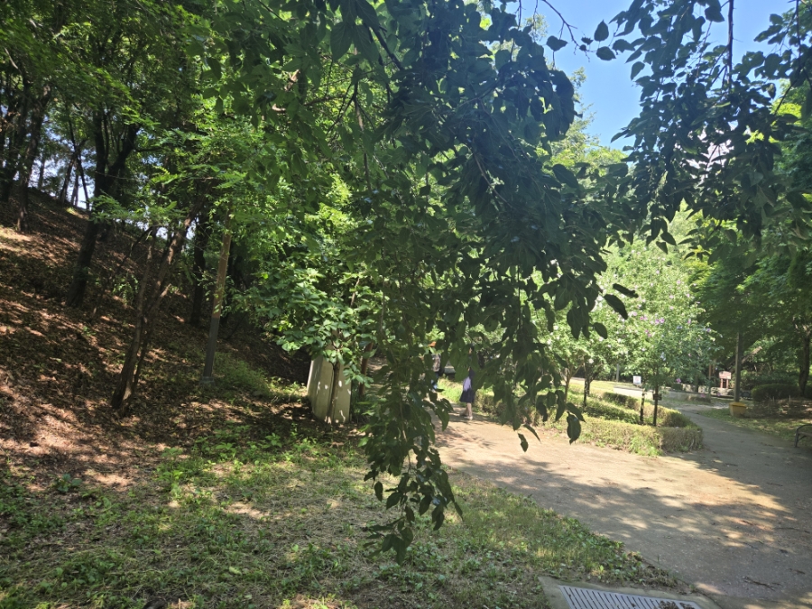 28. 어서각 대청마루 전경(촬영 2026.7.16).jpg