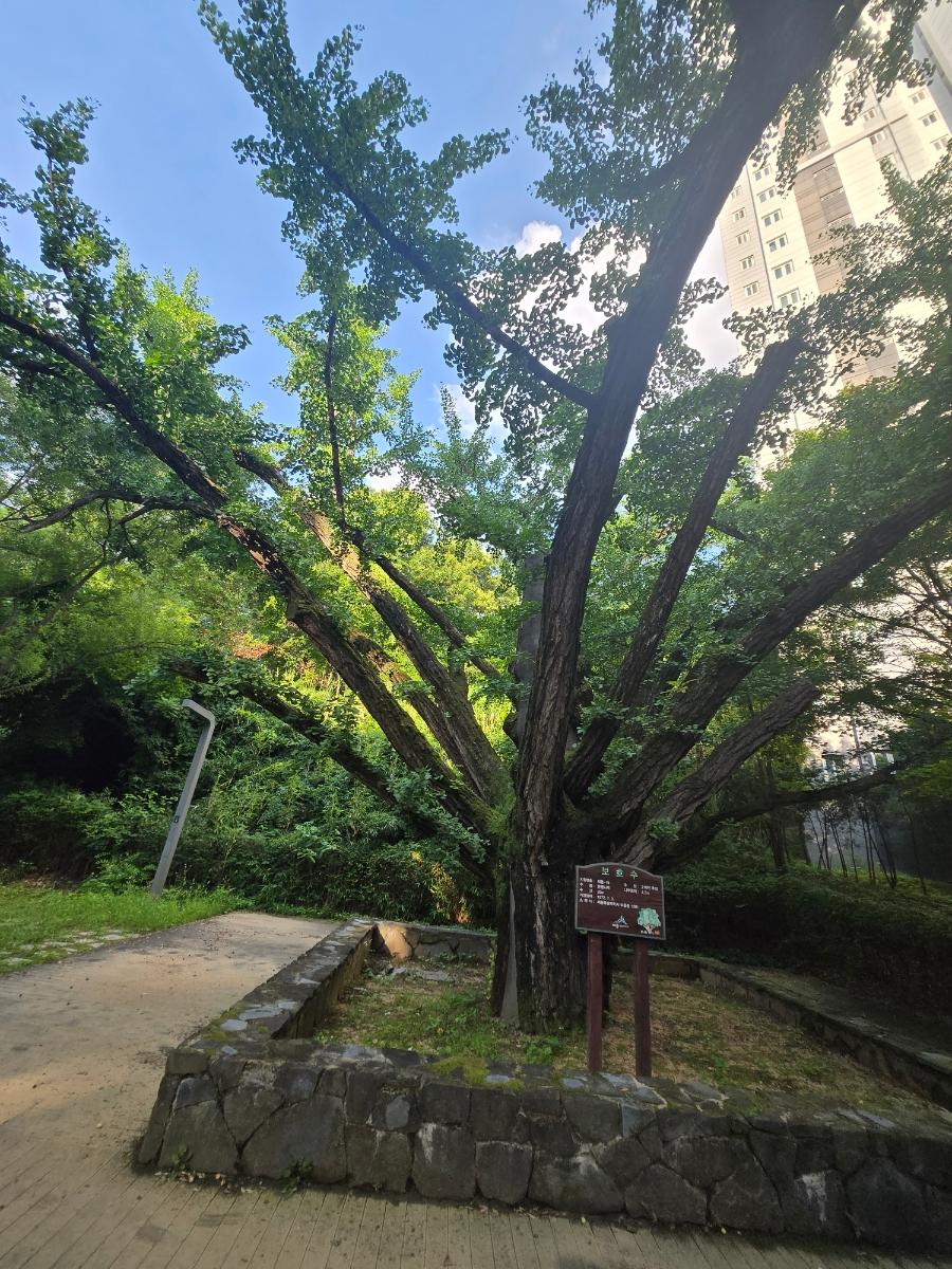 기록이미지340611
