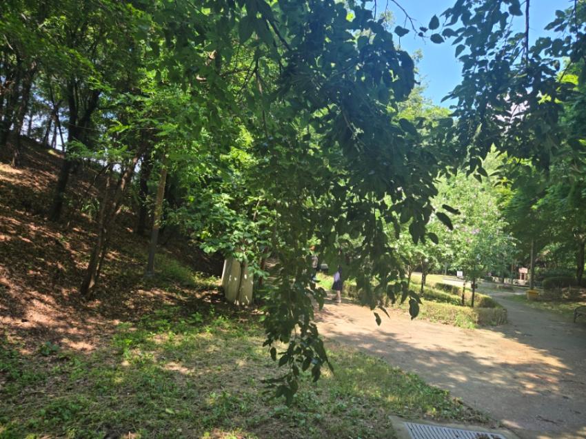 기록이미지340613