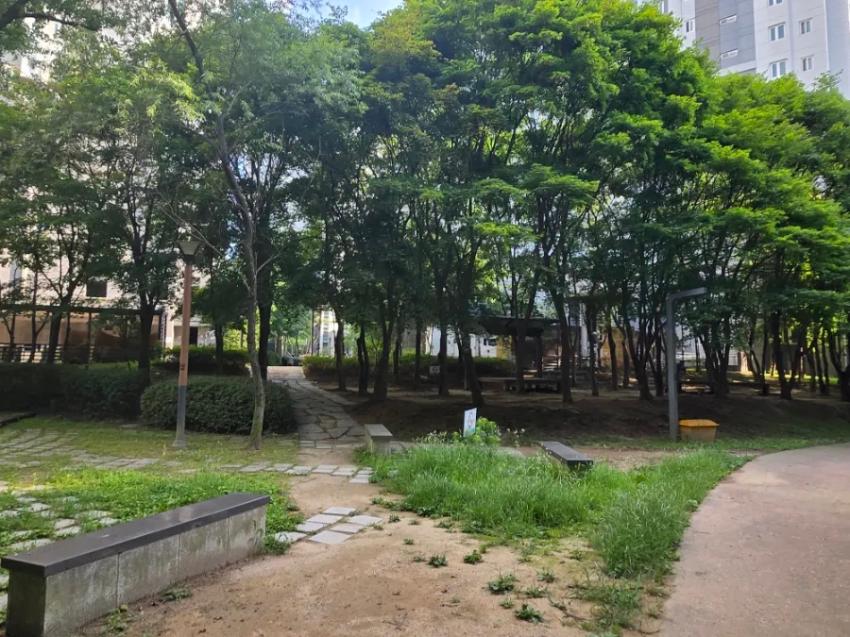 기록이미지340615