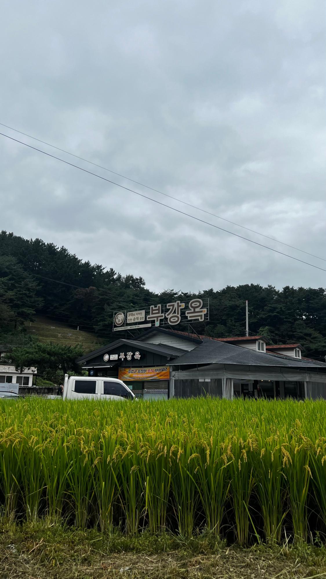 기록이미지277788