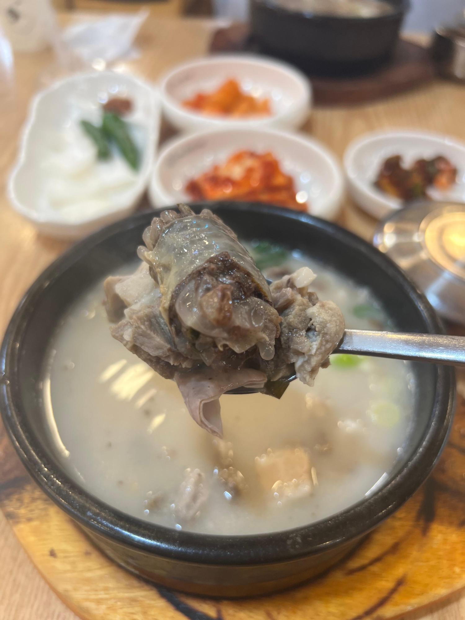 기록이미지277800