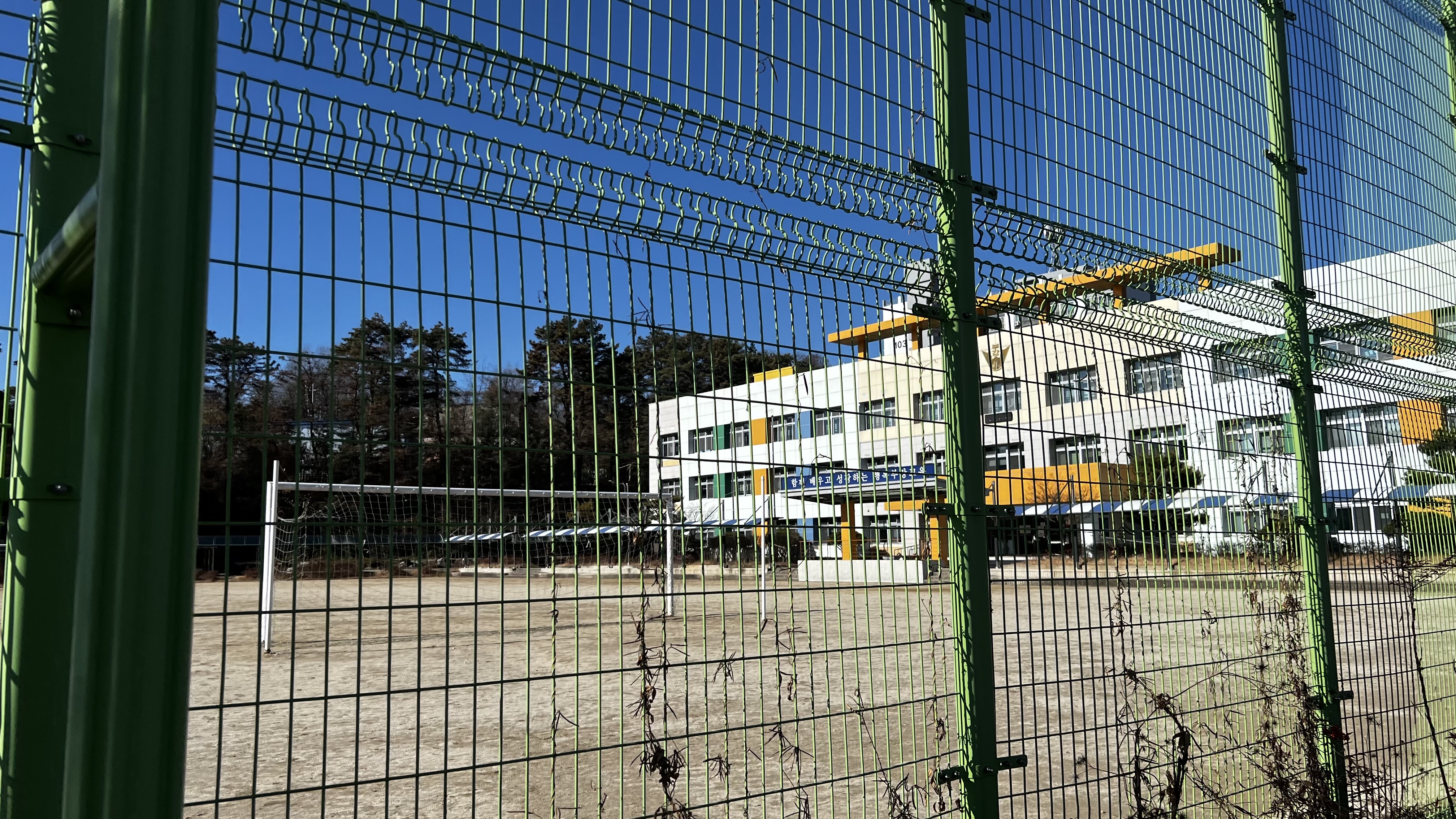 부강초등학교.jpg