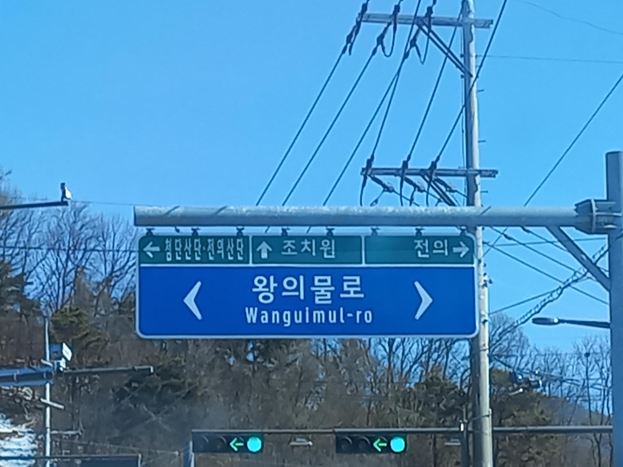 세종이 찾아 마신 왕의물, 전의초수 톺아보기