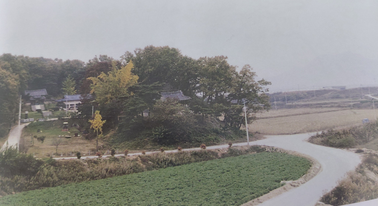 세종시 출범 이전 연기군의 풍경