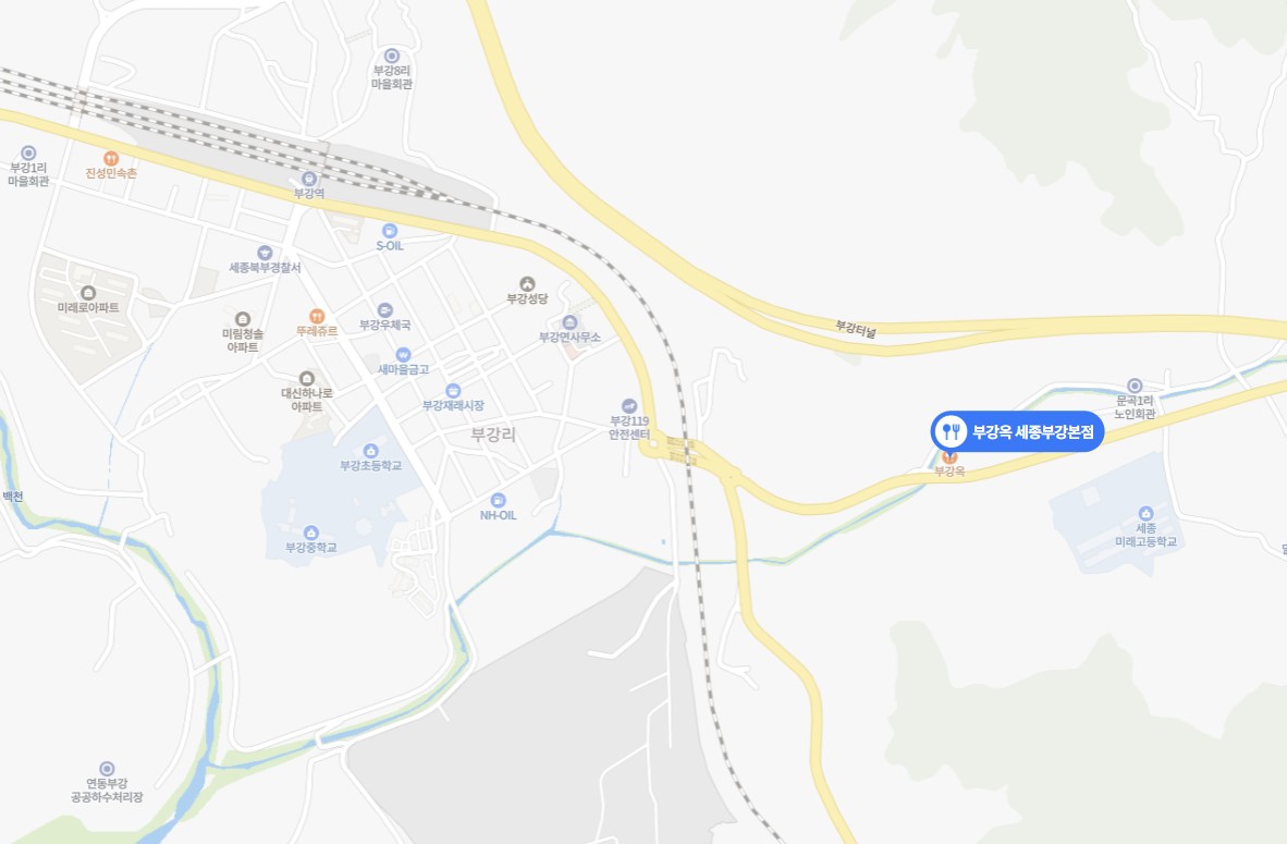 지도 - 부강면 읍내와 다소 떨어진 위치임을 확인할 수 있다.