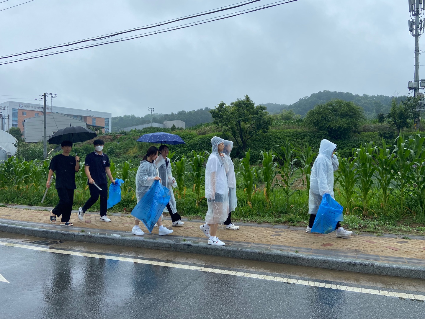 금남면 주민자치회와 다붓이 함께하는 용포천 살리기 캠페인을 진행하고 있다